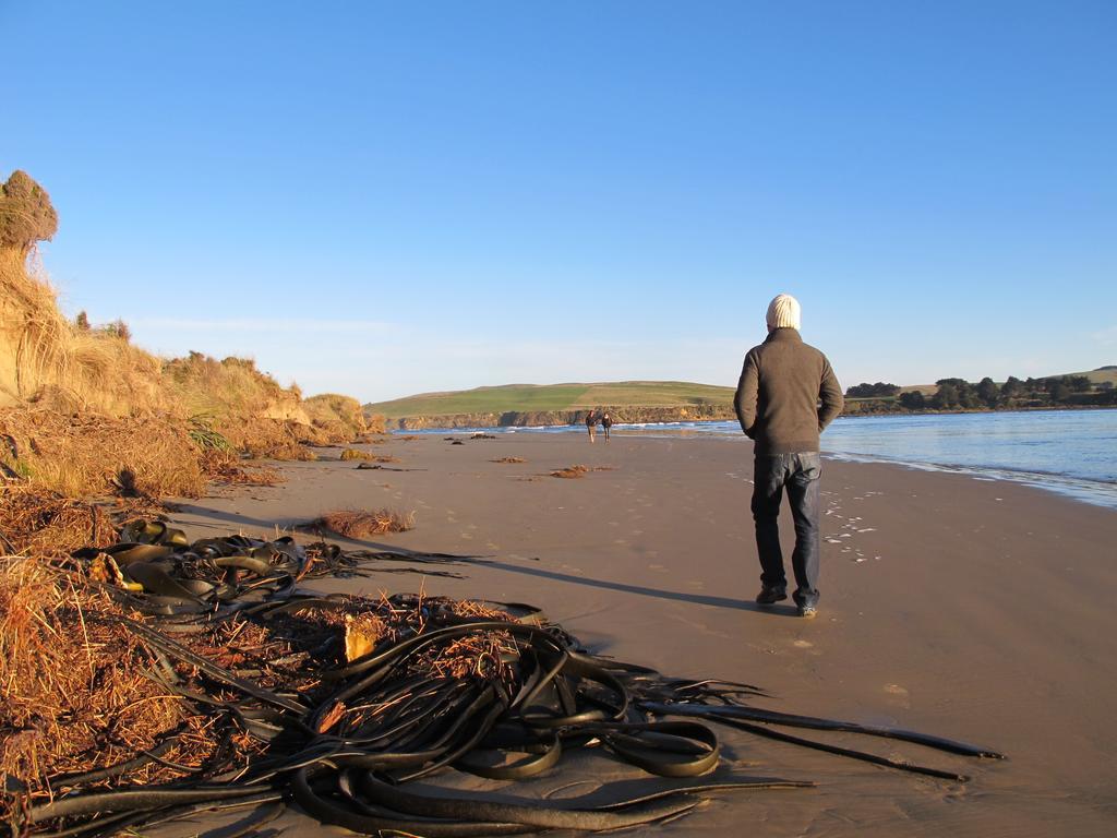 Catlins Newhaven Holiday Park โอวากะ ห้อง รูปภาพ