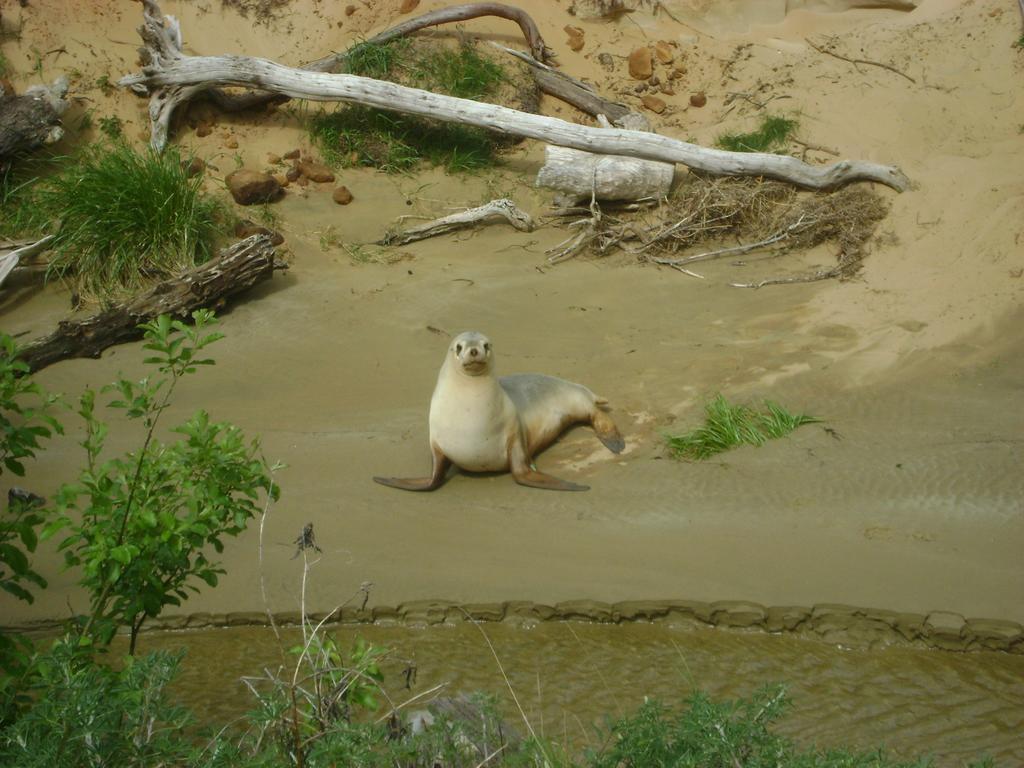 Catlins Newhaven Holiday Park โอวากะ ภายนอก รูปภาพ