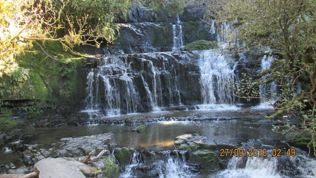Catlins Newhaven Holiday Park โอวากะ ภายนอก รูปภาพ