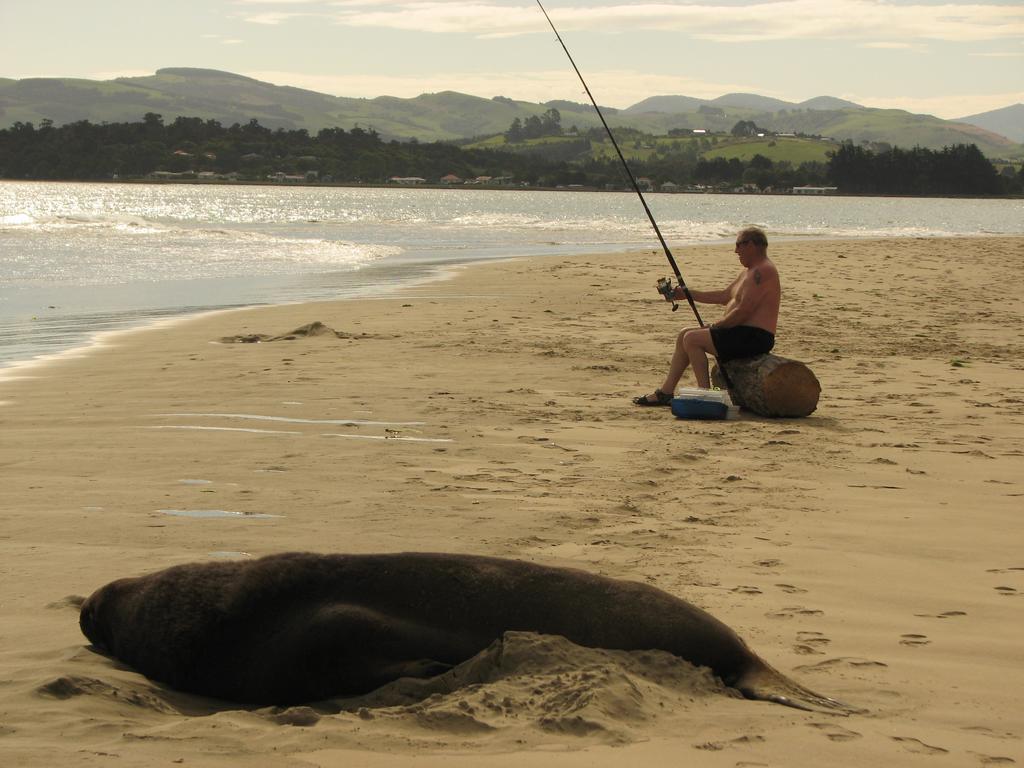 Catlins Newhaven Holiday Park โอวากะ ภายนอก รูปภาพ
