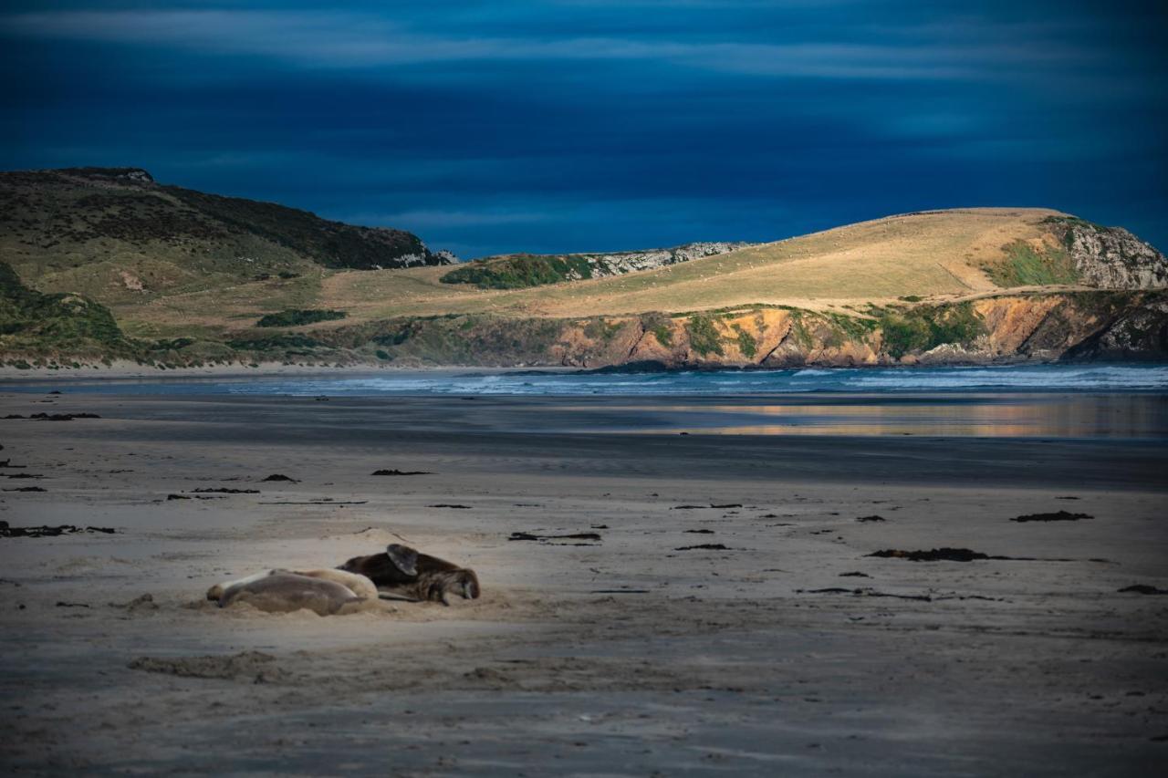 Catlins Newhaven Holiday Park โอวากะ ภายนอก รูปภาพ